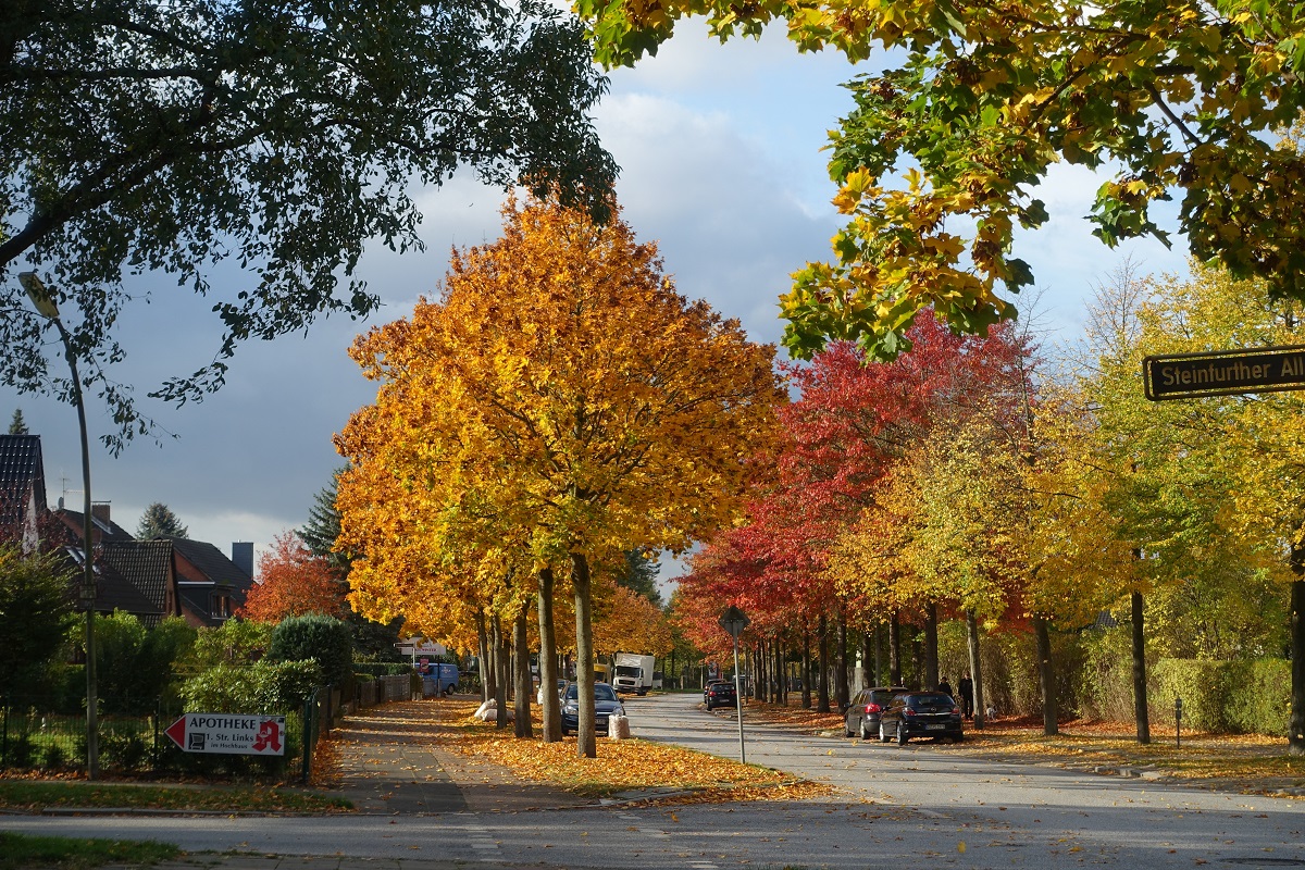 Bunter Herbst in Hamburg, im Stadtteil Billstedt am 24.10.2020 /