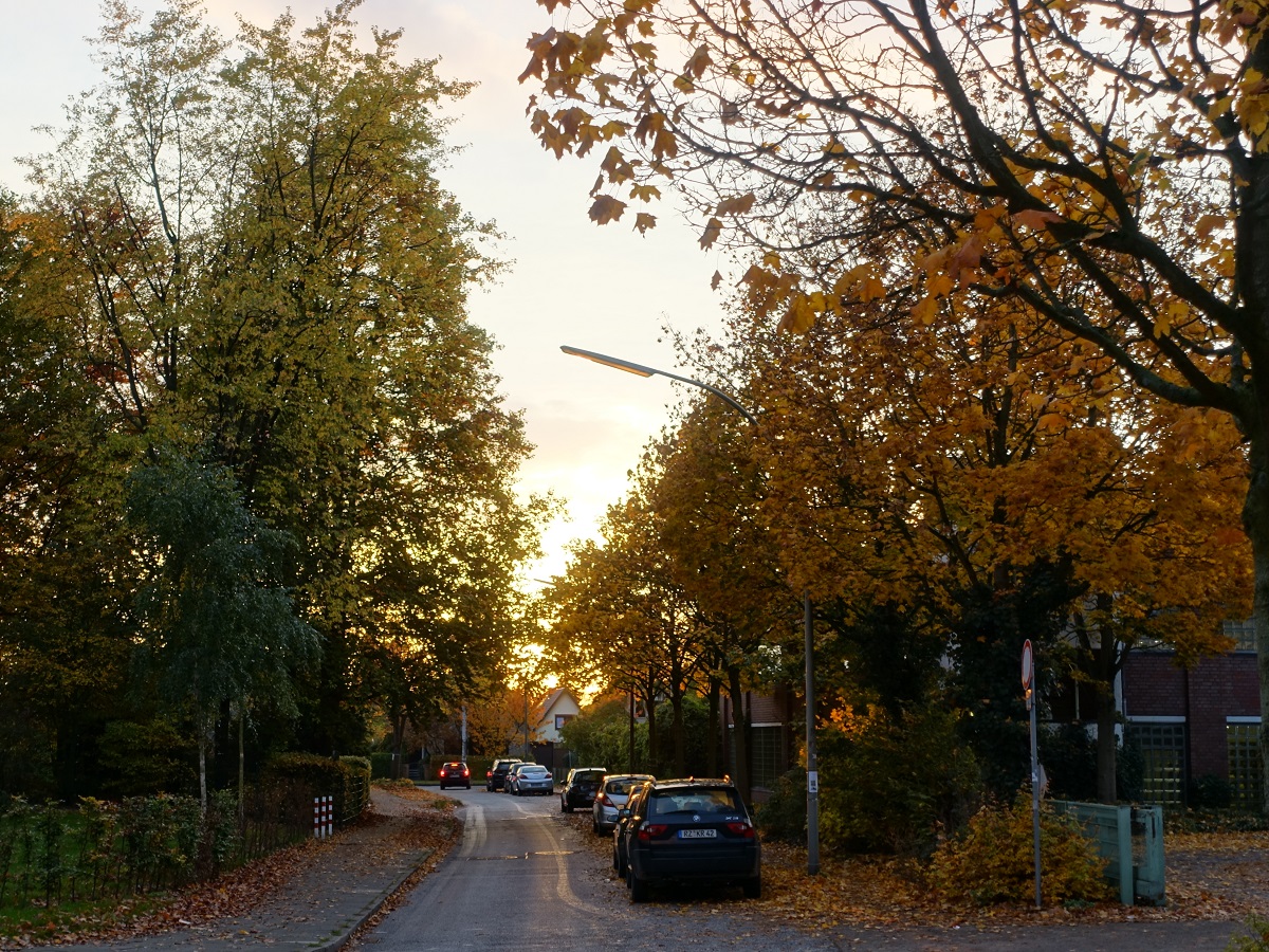 Bunter Herbst in Hamburg, im Stadtteil Billstedt am 26.10.2020 /