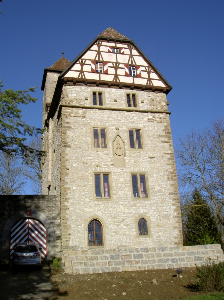 Burg Buchenbach, Hangburg auf 308 M. Hhe ber dem Dorf Buchenbach bei Mulfingen im Hohenlohekreis, erbaut im 11. Jahrhundert von den Herren von Stetten (25.11.2013)