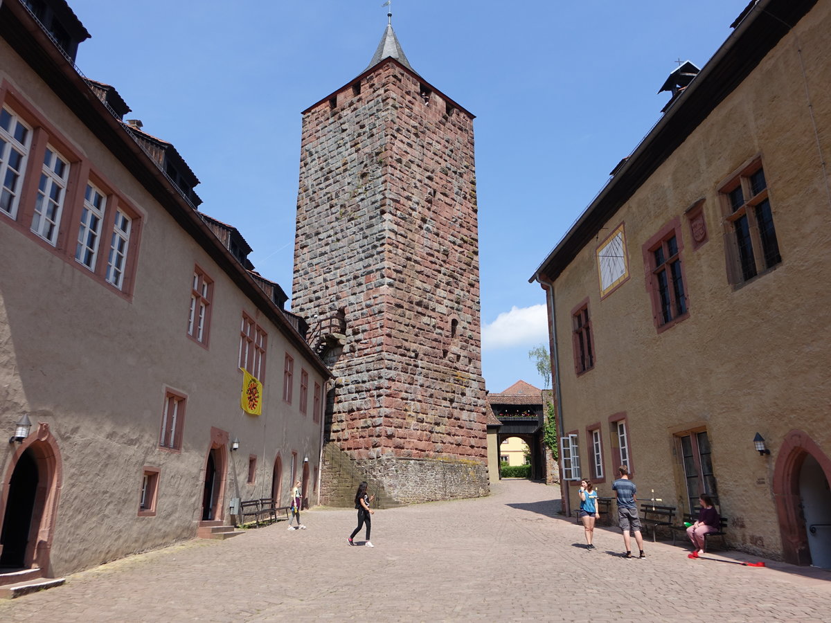 Burg Rothenfels, Hhenburg am Steilhang ber der Stadt Rothenfels aus Haupt- und Vorburg bestehend, Bergfried von 1150 (12.05.2018)