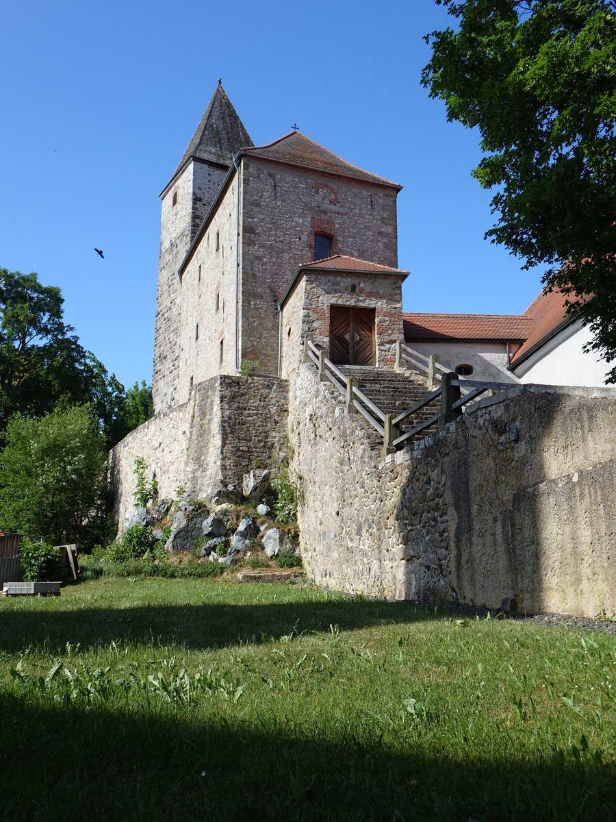Burg Waldau, mittelalterliche Hhenburg, erbaut um 1215 (20.05.2018)