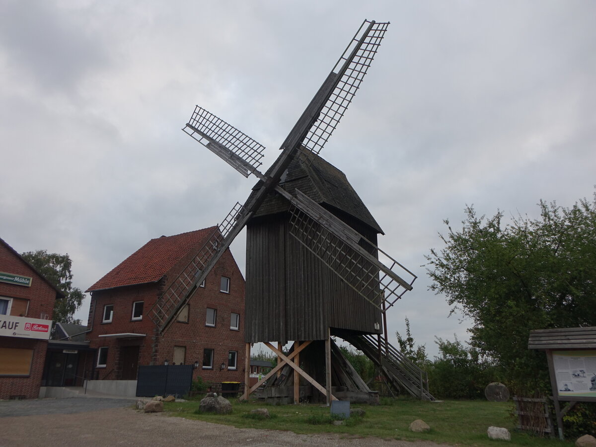 Burgdorf, Sorgenser Bockwindm�hle, erbaut im 17. Jahrhundert (18.09.2025)