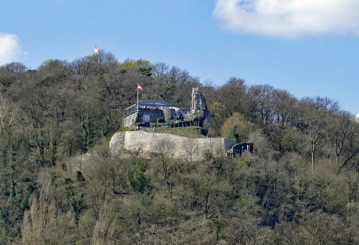 Burgruine Rolandseck mit Rolandsbogen in Rolandswerth/Rhein - 30.03.2019