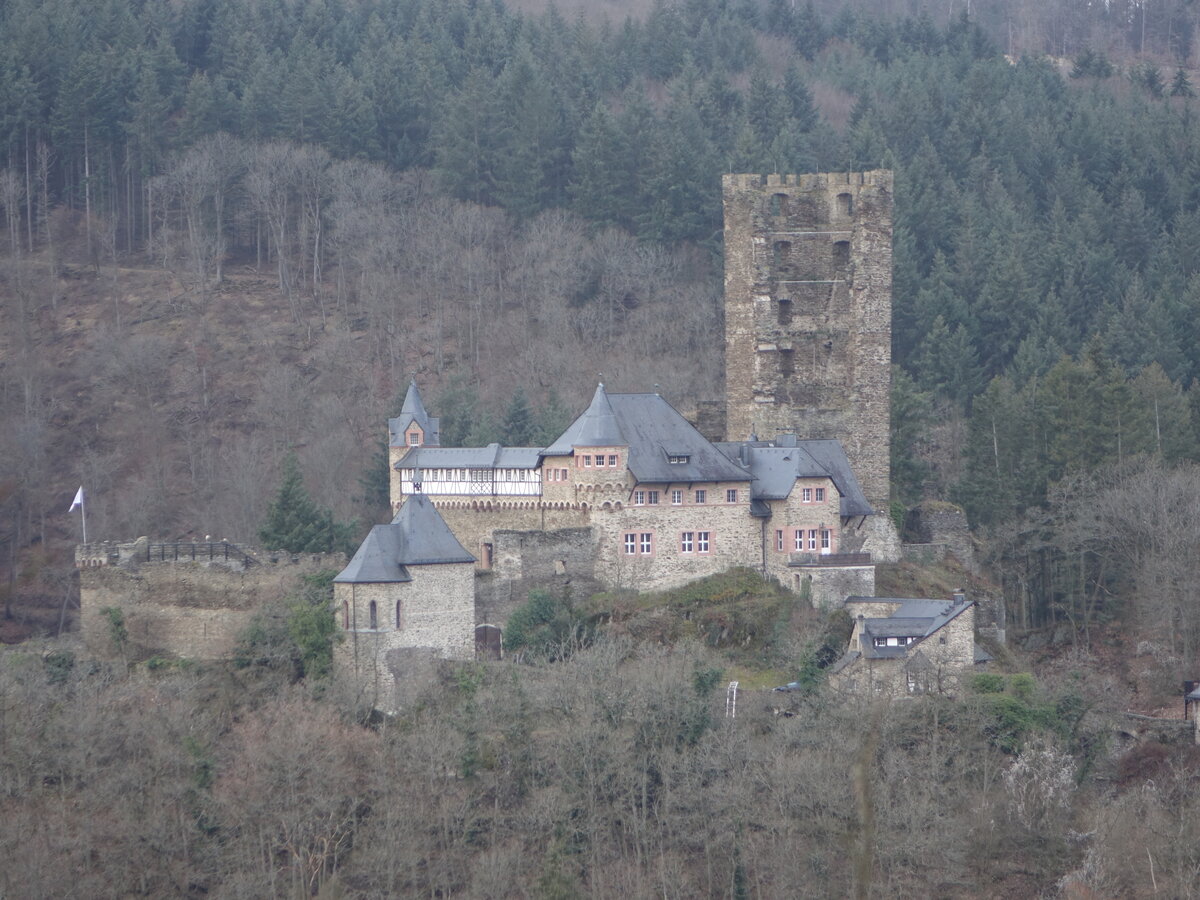 Burgruine Sauerburg, Hhenburg ber dem Tiefenbach im Taunus, erbaut ab 1355 (30.01.2022)