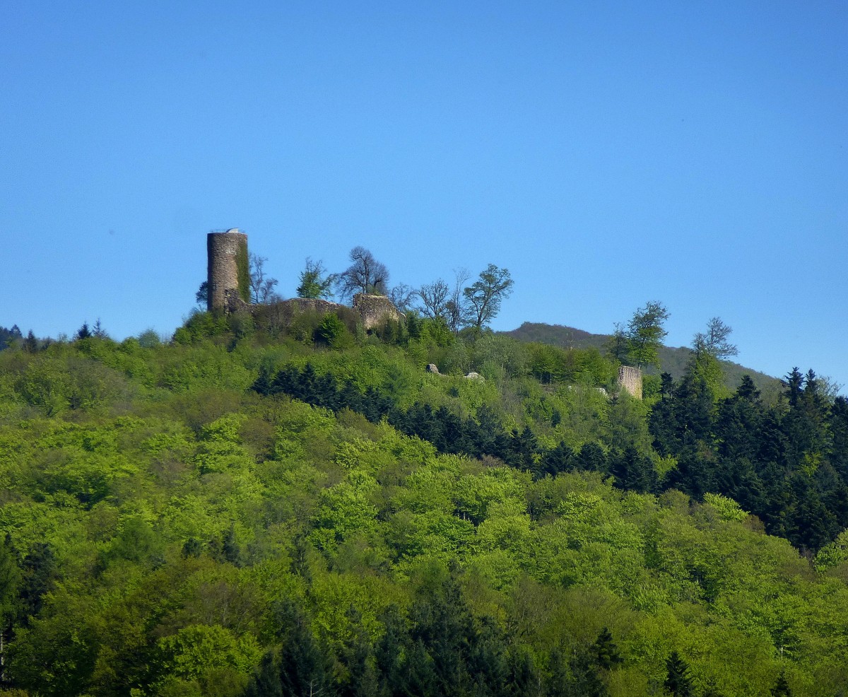 Burgruine Sausenburg, auf dem 665m hohen Sausenberg im sdlichen Schwarzwald, entstanden nach 1230, 1678 von den Franzosen zerstrt, April 2015