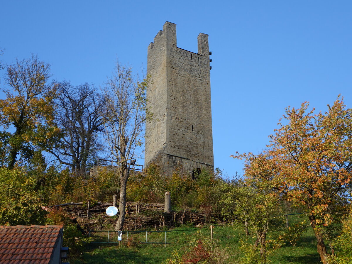 Burgruine Tautenburg im Tautenburger Forst, erbaut im 12. Jahrhundert (22.10.2022)