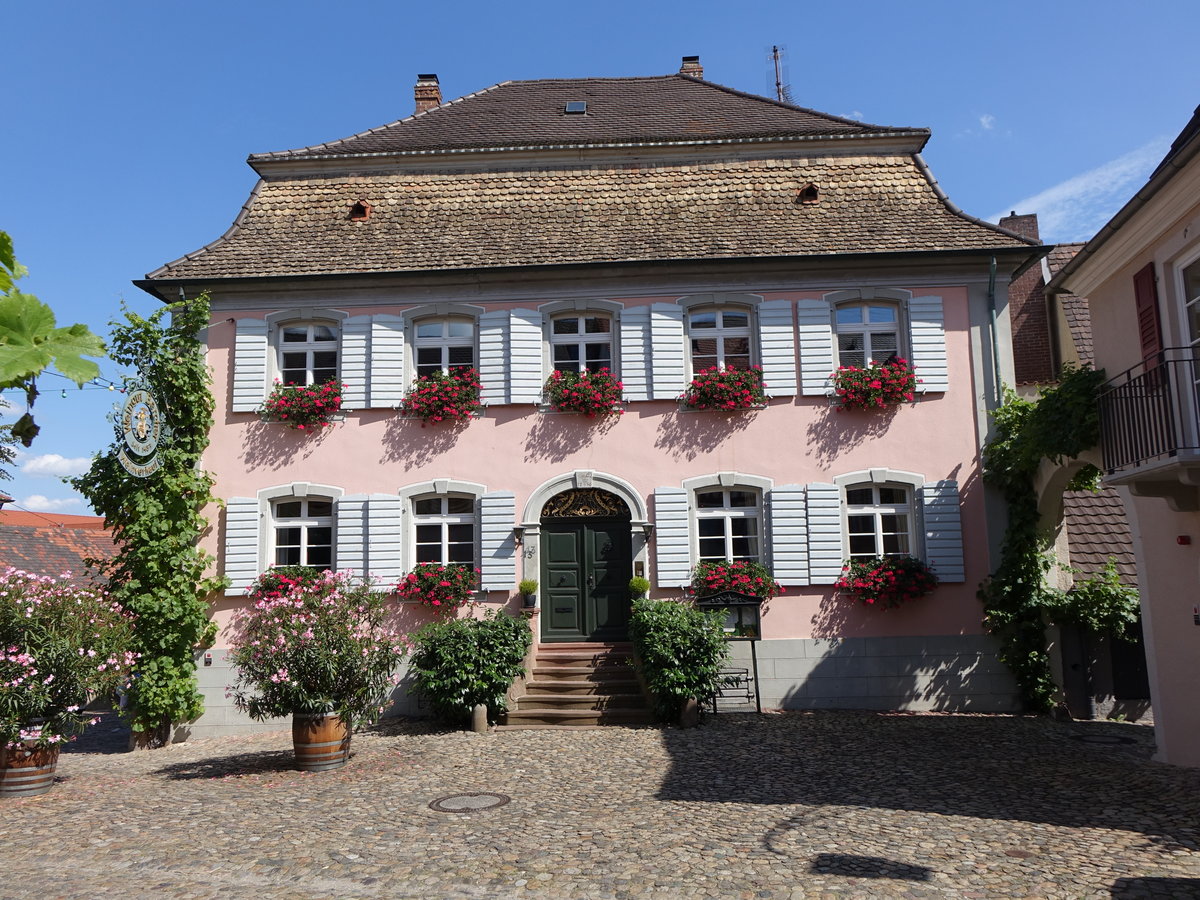 Burkheim, Weingut Bercher in der Mittelstadt (14.08.2016)