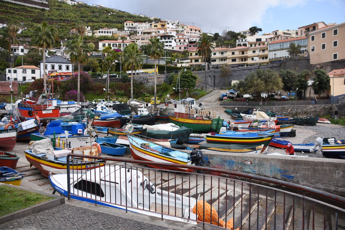 CMARA DE LOBOS (Concelho de Cmara de Lobos), 30.01.2018, am Hafen