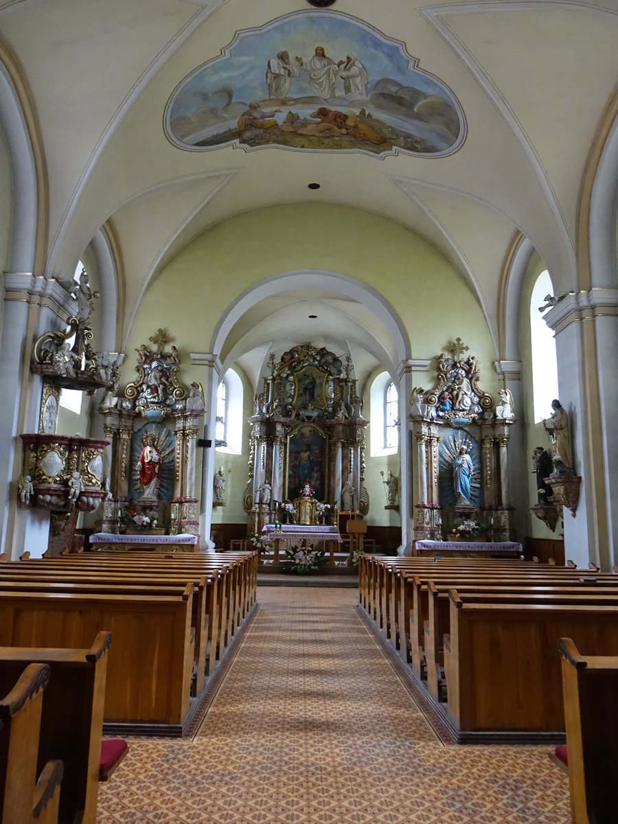 Cadca / Tschadsa, Innenraum der Pfarrkirche St. Bartholomus, erbaut 1835 (30.08.2019)