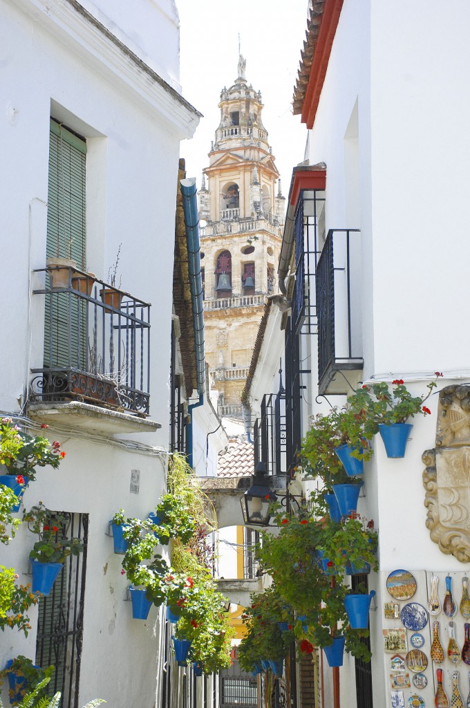 Calleja de las Flores, Crdoba. Aufnahme: Juli 2014.