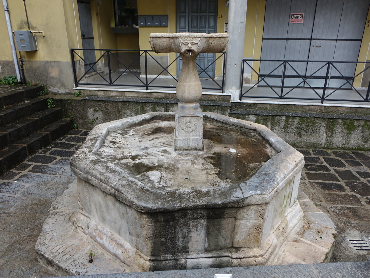 Campagna, Fontana Grimaldina von 1634 in der Via Giudeca (27.02.2023)