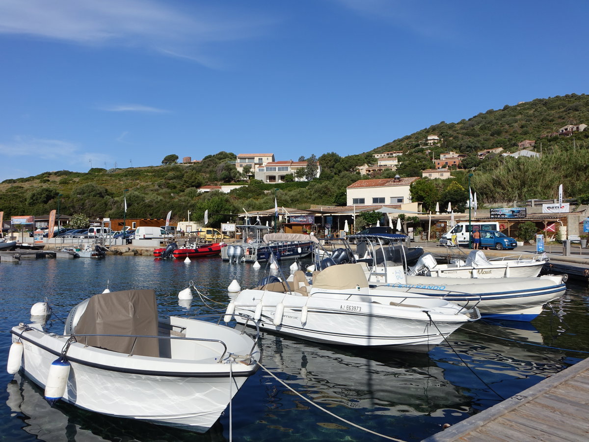 Cargese, Boote im Hafen am Golf von Sagone (20.06.2019)