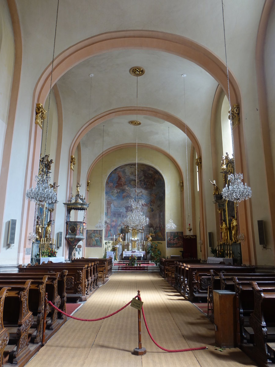 Celje, Innenraum der Klosterkirche St. Marien, Ausstattung von 1808 (04.05.2017)