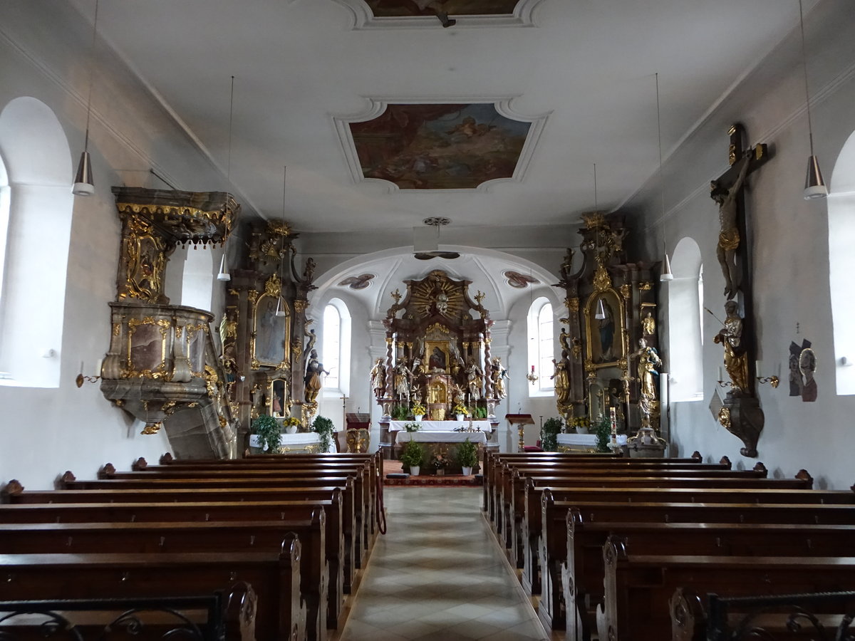 Chamerau, barocker Innenraum der kath. St. Peter und Paul Kirche, erbaut 1669 (04.11.2017)