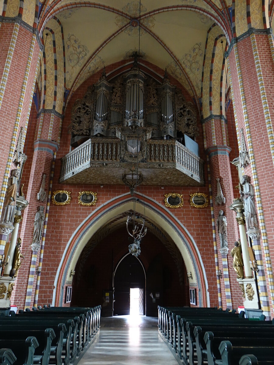 Chelmno / Kulm, Orgelempore in der St. Marien Kirche (06.08.2021)