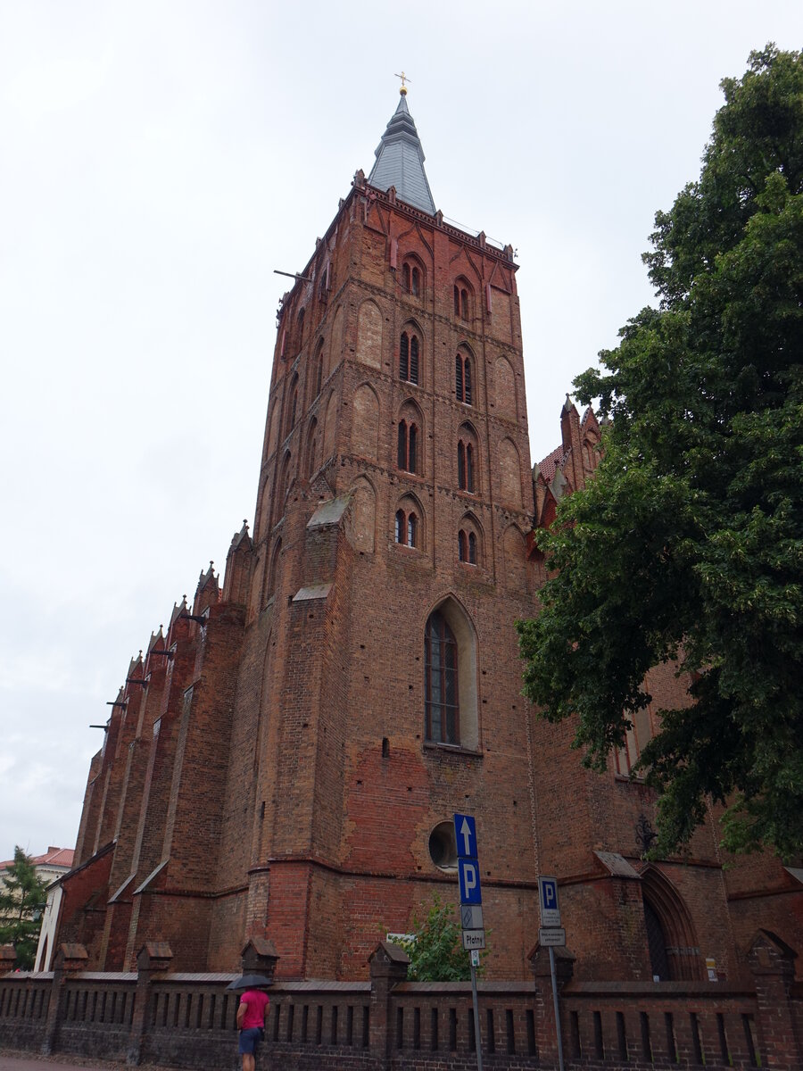 Chelmno / Kulm, Pfarrkirche St. Marien, dreischiffige frhgotische Hallenkirche, erbaut von 1290 bis 1333 (06.08.2021)