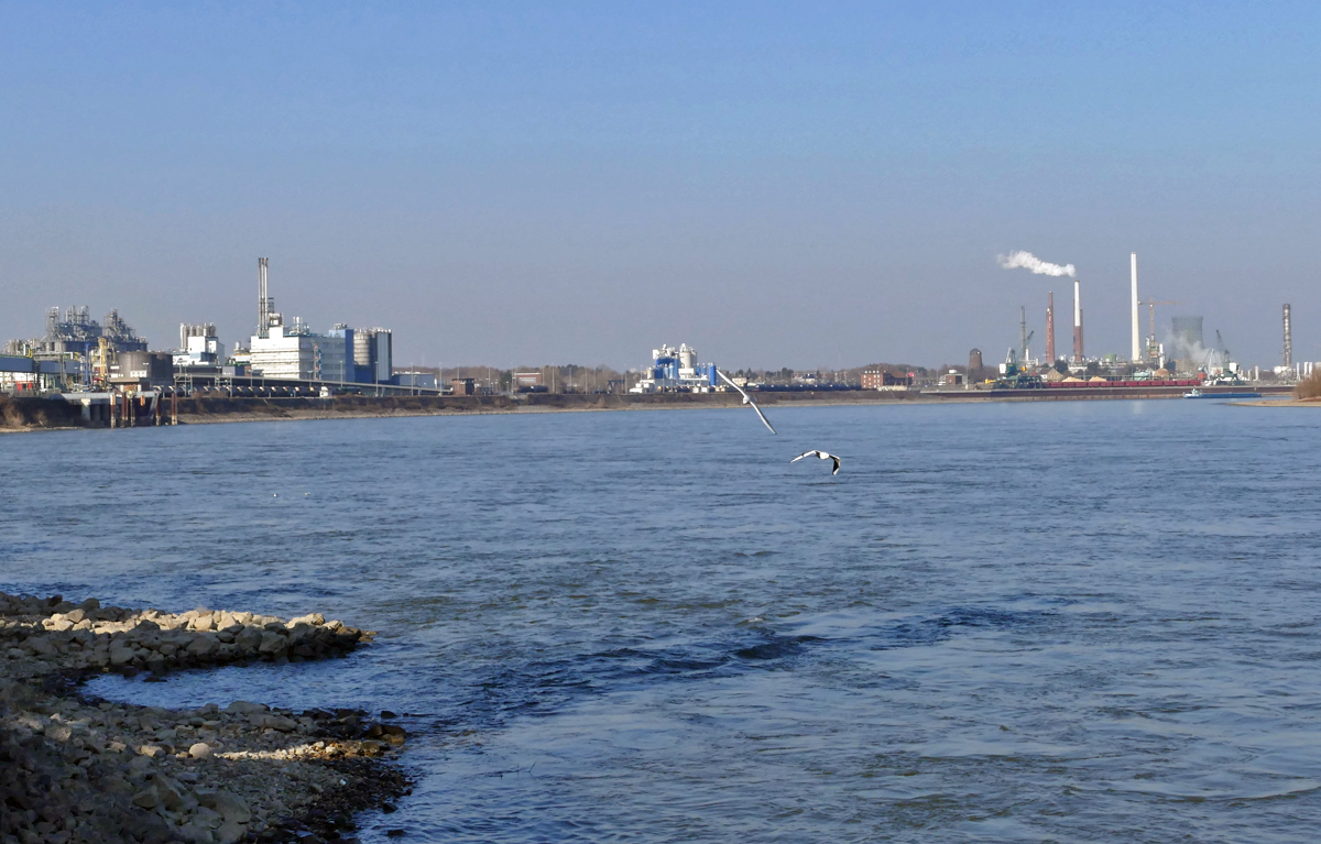 Chemische Fabrik Wesseling (von links nach rechts) bis Shell-Raffinerie Godorf.....und 2 Mwen die sich ins Bild schmuggelten - Wesseling 14.02.2017