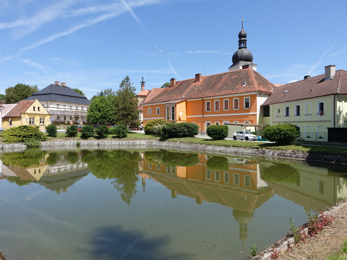 Chudenice/ Chudenitz, Dorfweiher mit Pfarrkirche St. Johannes (02.06.2019)