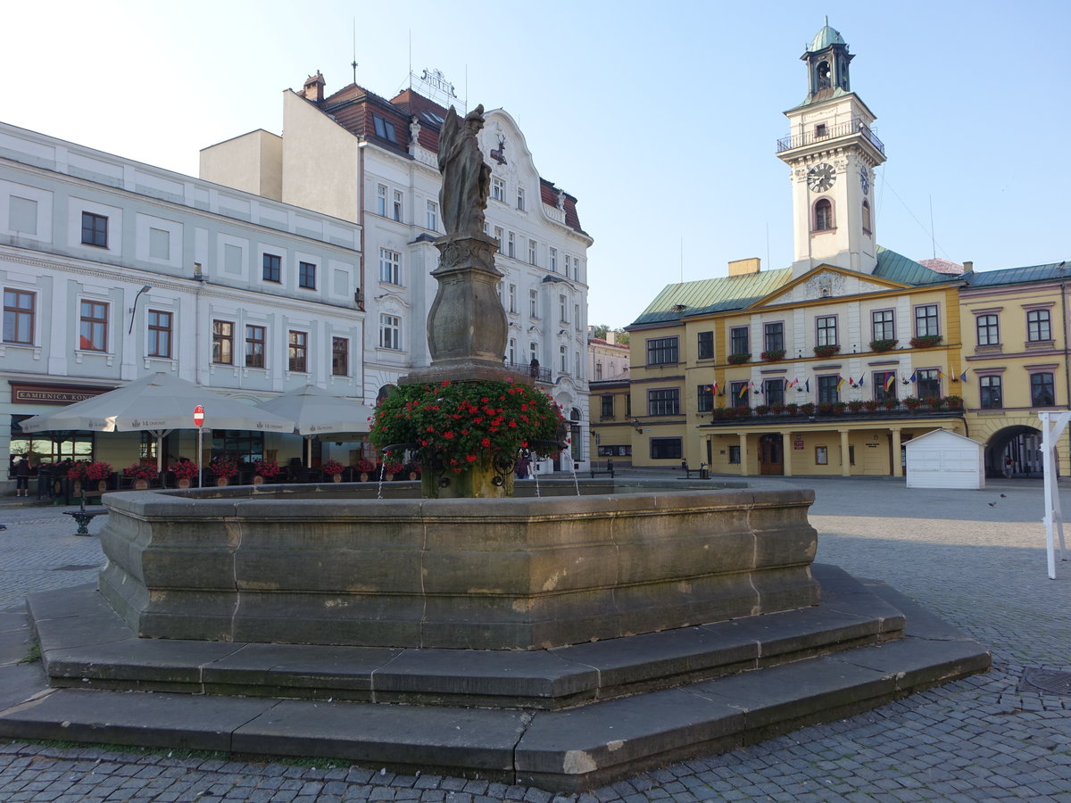 Cieszyn / Teschen, Floriansbrunnen und Rathaus an Rynek Platz (31.08.2019)