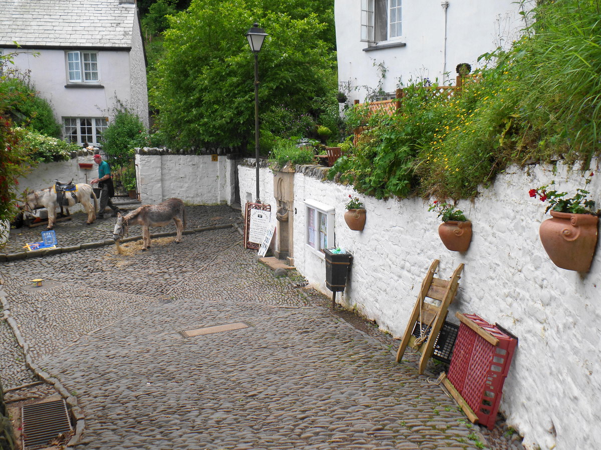 Clovelly am 18.6.2016, Fischerdorf an der Nordostkste Devons, England, 400 Einwohner. Bekannt geworden durch die Romane >Westward Ho< von Charles Kingsley und >A message from the sea< von Charles Dickens.