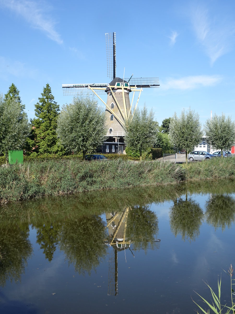 Colijnsplaat, Windmhle Nooit Gedacht (25.08.2016)