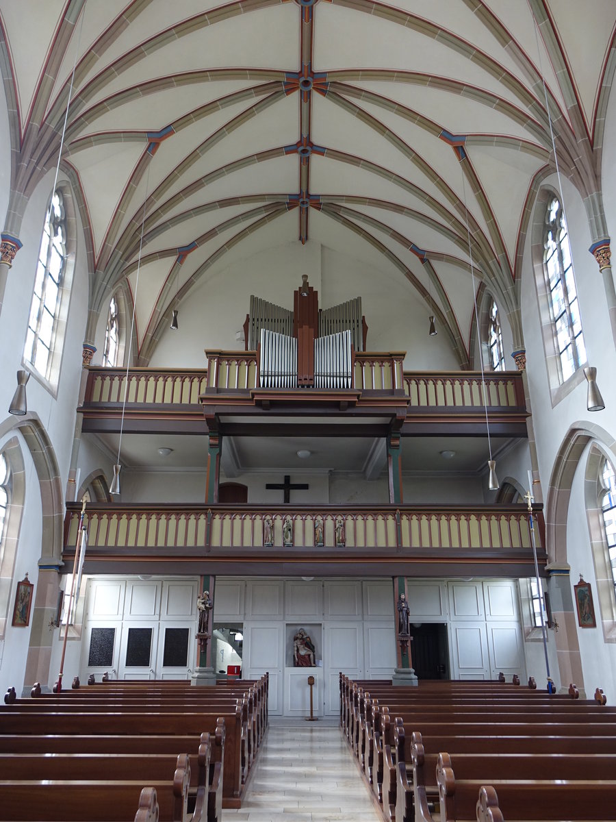 Dalkingen, Orgelempore in der St. Nikolaus Kirche (13.03.2016)