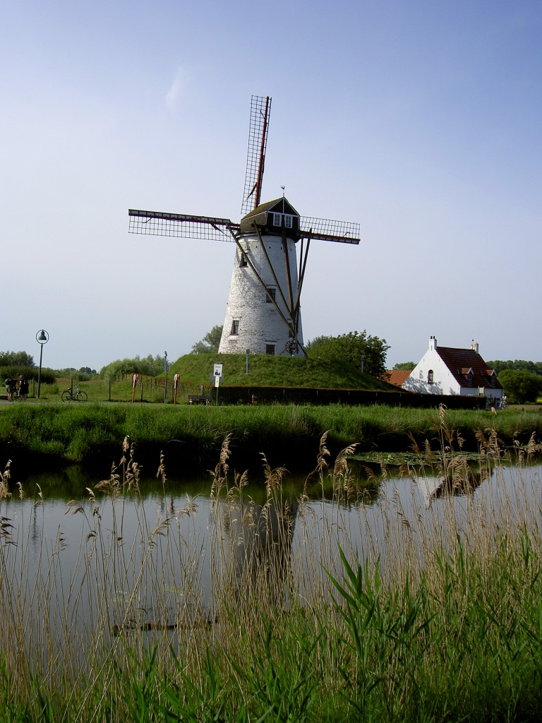 Damme, Windmhle Schellenmolen am Damse Vaart Kanal (02.07.2014)