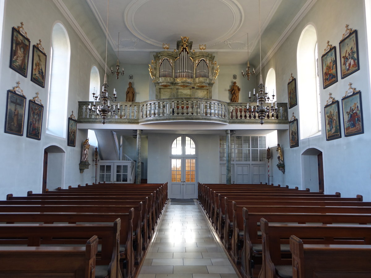 Dampfach, Orgelempore in der kath. St. Andreas Kirche (14.10.2018)
