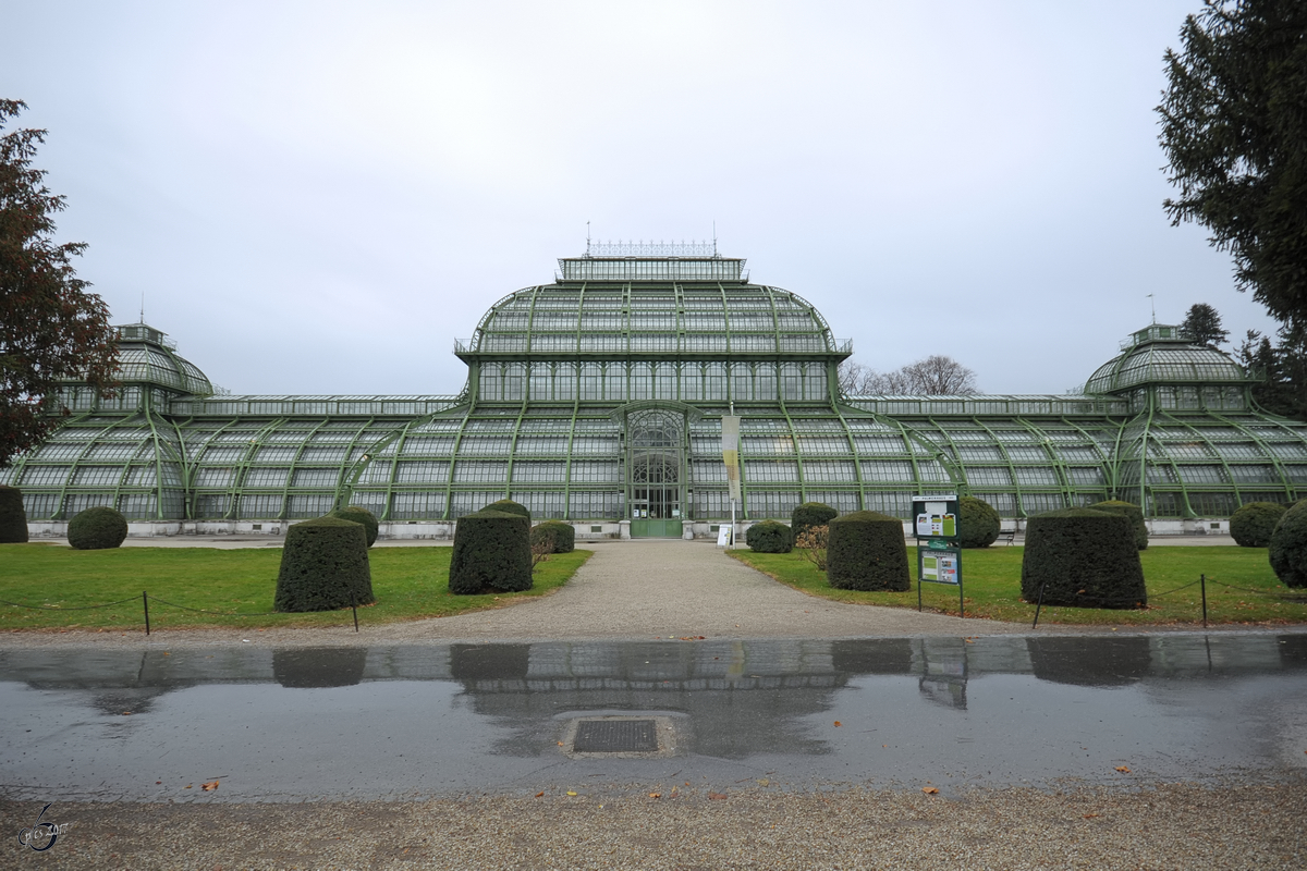 Das 1882 Auftrag gegebene Palmenhaus im Schlosspark Schnbrunn ist das grte seiner Art auf dem europischen Kontinent. (Wien, Dezember 2010)