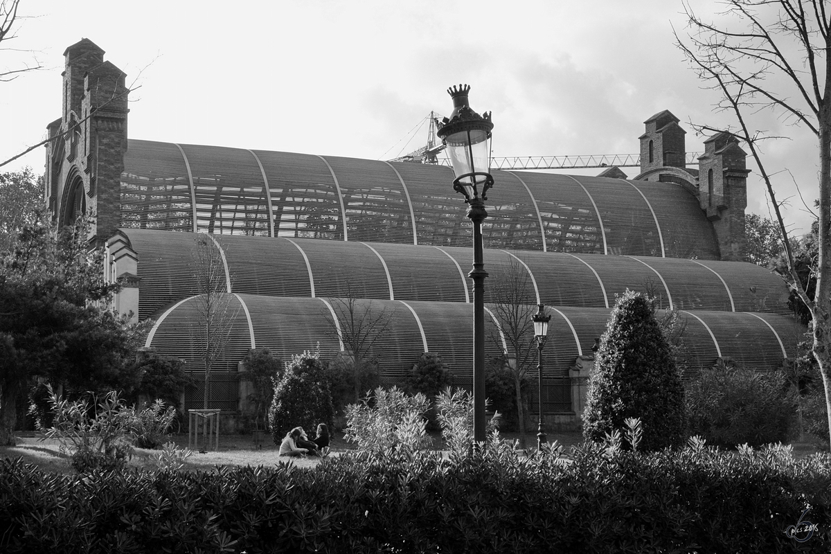 Das Glashaus des zoologischen Museums in der Nhe des Schlosses der drei Drachen. (Barcelona, Dezember 2011)