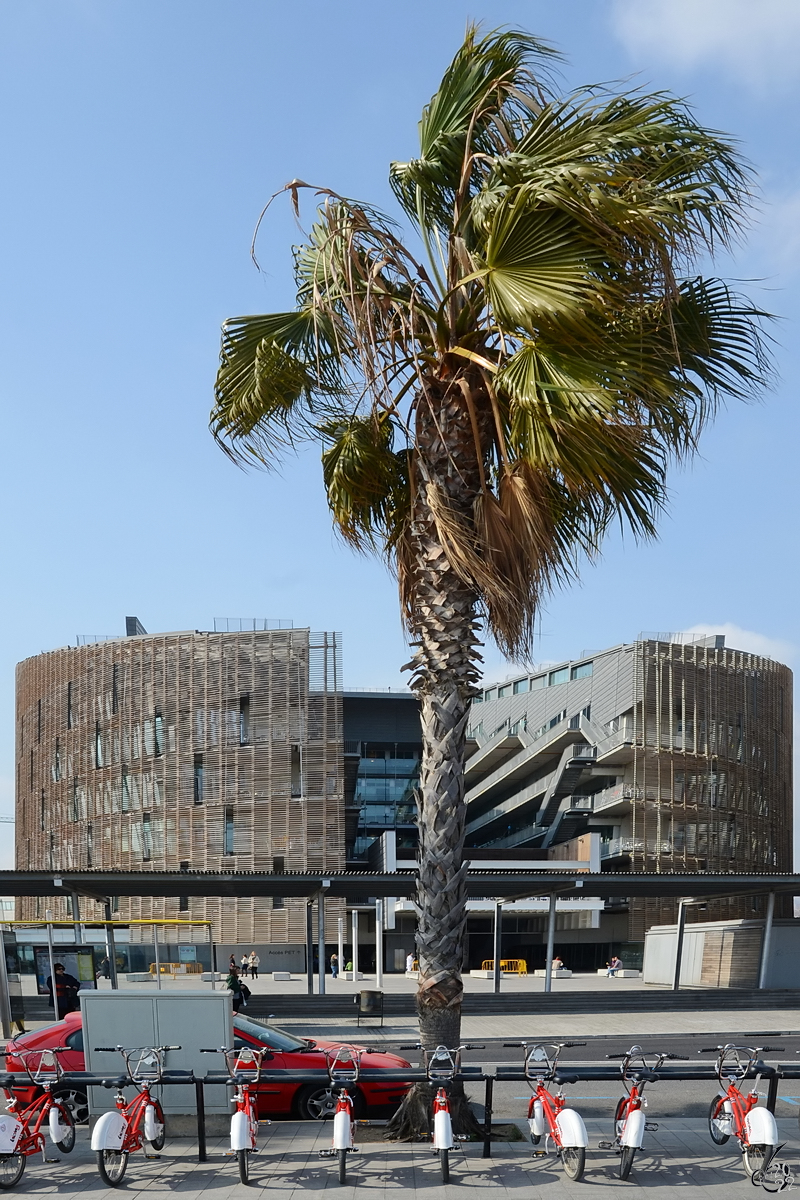 Das Hauptgebude des Biomedizinischen Forschungsparks Barcelona (Parc de Recerca Biomdica de Barcelona), so gesehen Ende Februar 2012.