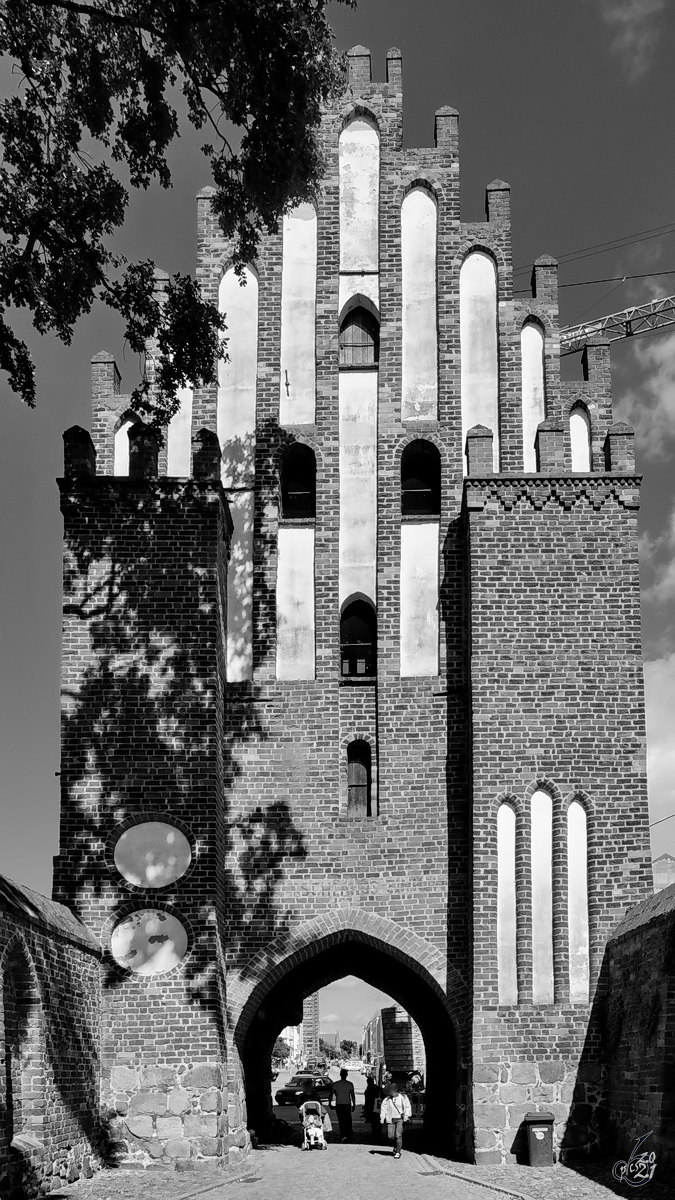 Das Haupttor der Stargarder Toranlage in Neubrandenburg. (August 2013)