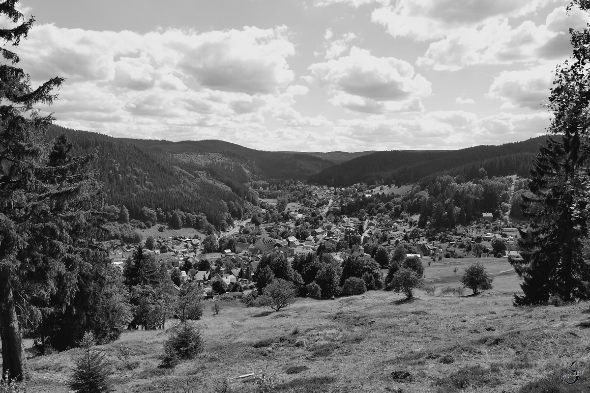 Das idyllische rtchen Manebach umringt vom Thringer Wald. (August 2018)