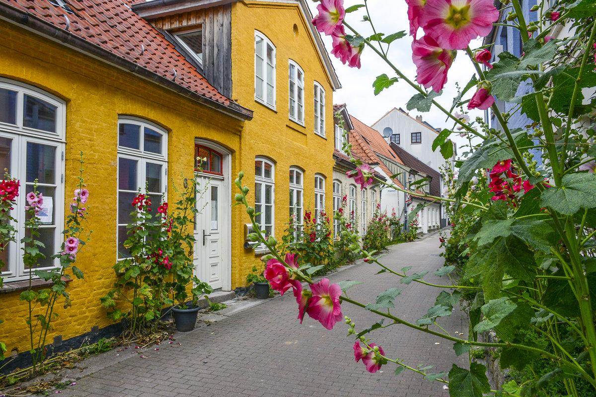 Das Kapitnsviertel (oder auch: Gngeviertel) in Flensburg-Jrgensby ist ein Viertel mit vielen Gngen am Hang auf der Ostseite des Flensburger Hafens in dem sich in frheren Jahrhunderten viele Kapitne und Seeleute angesiedelt hatten. Viele der alten Huser des Viertels gelten heute als Kulturdenkmale. Aufnahme: 18. Juli 2020.