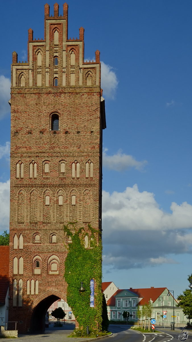 Das letzte erhaltene Stadttor in Anklam ist das um 1450 erbaute und 32 Meter hohe Steintor. (August 2013)