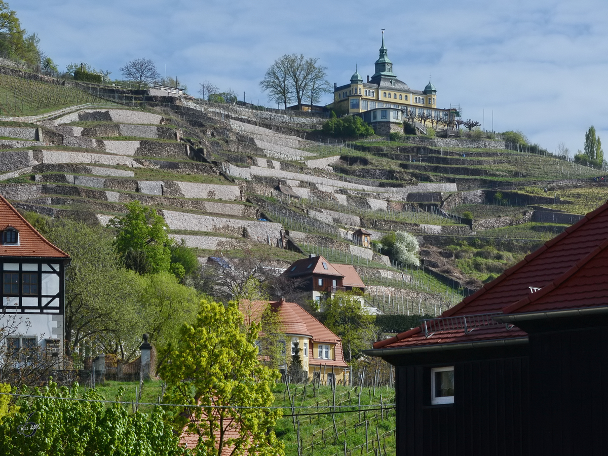 Das Spitzhaus auf der Hangkante des Elbtalkessels ist ein ehemaliges Lusthaus. (Radebeul, April 2014)