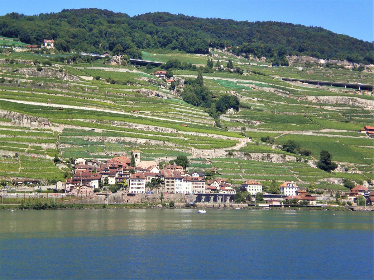 Das Winzerdorf Saint-Saphorin am Genfersee (Lac Lman) - 11.08.2011