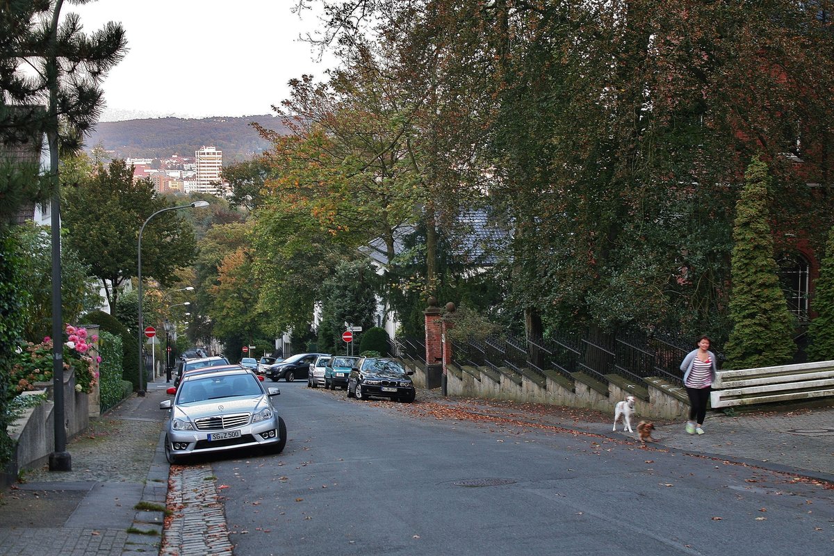 Das Wuppertal nicht nur das  Deutsche Manchester  sondern auch das  Deutsche San Francisco  und die, laut Bundesamt fr Statistik!!! grnste Grostadt Deutschlands, mit seinen endlos steilen Straen, wie hier am Beispiel der Sadowastrae im Briller-Viertel, ist, wird auf diesem Bild recht deutlich. 

Das grte zusammenhngende Villen-Viertel Deutschlands, das Briller-Viertel in Wuppertal, lockt mit fast 300 dieser Prachtexemplare, auf die Hhenzge nah der Innenstadt und der kleinen aber feinen  Altstadt , dem Luisenviertel, das sich mit den umliegenden, riesigen Bestnden an Grnderzeit- und Jugendstilbauten z.B. auf dem lberg, immer mehr zum Kreuzberg NRW's und dem kreativen Kietz schlechthin entwickelt. Eine der dortigen Villen, ist die als  Galerie Parnass  in der Kunstwelt legendre und berhmte Villa Jaehrling, in der, wie es die FAZ beschrieb, 1963 eine der Schlsselausstellungen des 20 Jahrhunderts mit Joseph Beuys, Bazon Brock, Charlotte Moorman, Nam June Paik, Eckart Rahn, Tomas Schmit und Wolf Vostell stattfand. Das Happening war der Kristallisations-Punkt der Fluxus-Bewegung in Deutschland. Ferner wohnten unter anderem die Dichterin Else-Lasker-Schler, Bayer und IG-Farben-Chef Carl Duisberg und Johannes Rau im Briller-Viertel. 03.10.2011

