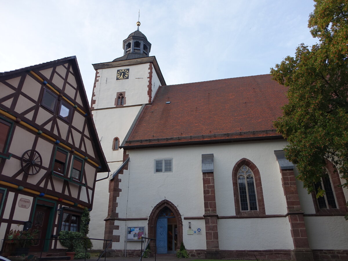 Dassel, evangelische St. Laurentius Kirche, sptgotische Hallenkirche, erbaut 1447 (28.09.2023)