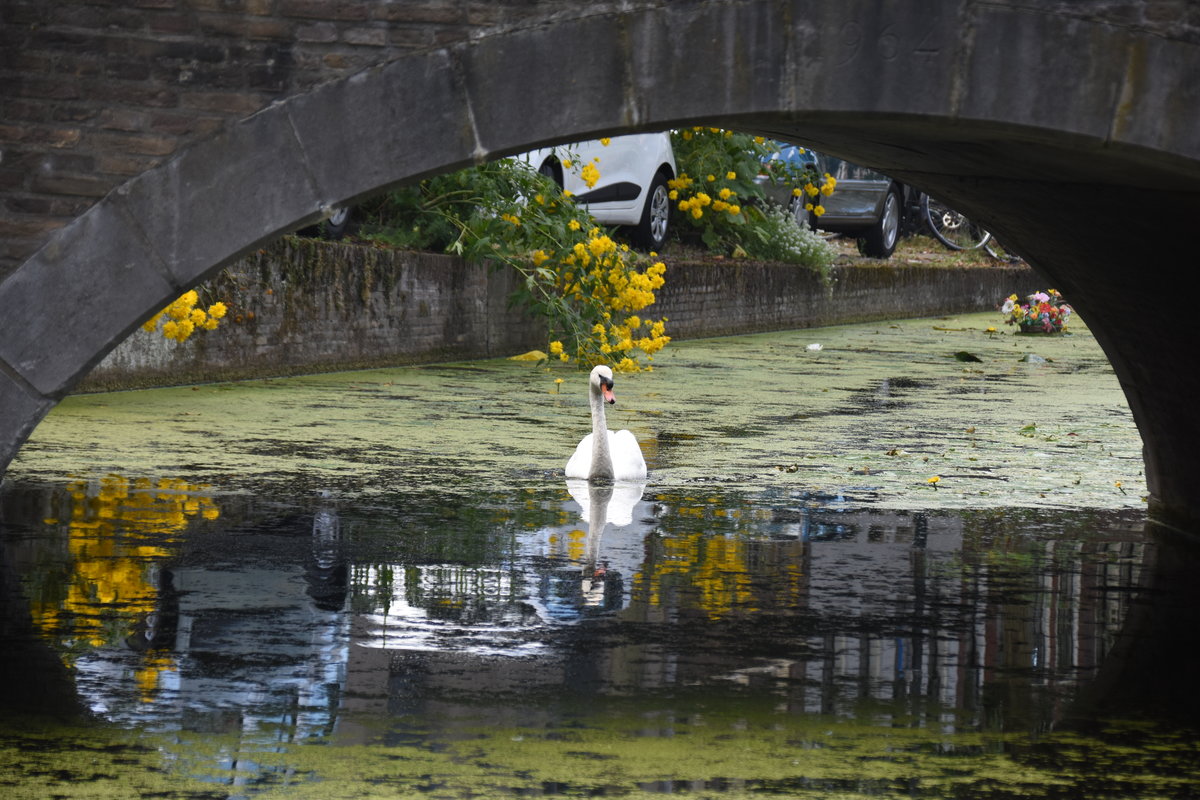 DELFT, 06.08.2017, am Zufluss der Gasthuislaan Gracht in die Oosteinde Gracht