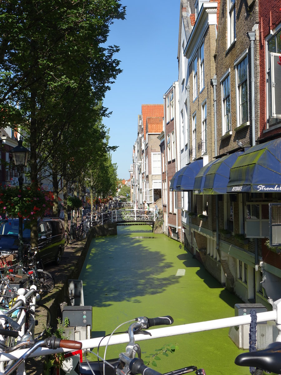 Delft, Huser an der Voldersgracht (23.08.2016)