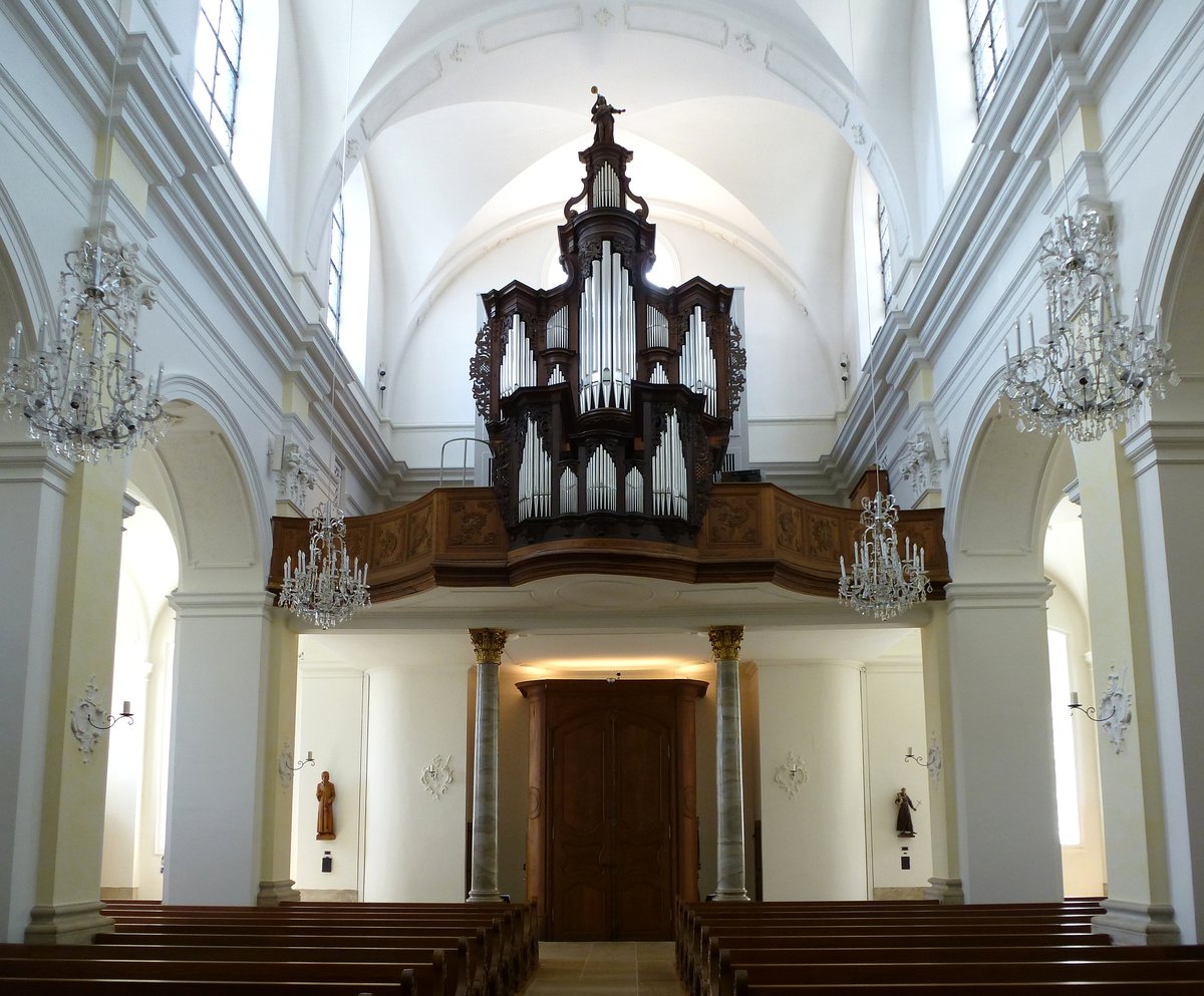 Delsberg, Blick zur Orgelempore in der Kirche St.Marcel, Mai 2017