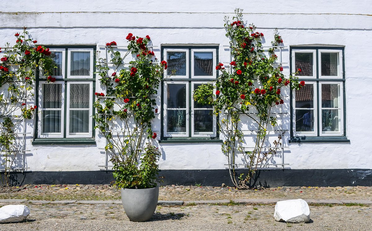 Dem Schloss Glcksburg vorangestellt ist ein Wirtschaftshof, der sich als Vorburg mit Torhaus, Kavaliershaus und Stllen vor dem eigentlichen Hauptgebude ffnet. Aufnahme: 4. Juni 2020.