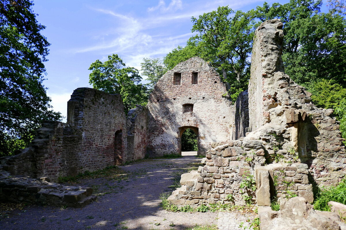 Denzlingen, Blick in die Ruine der Severinskapelle auf dem Mauracher Berg, erbaut 1497, Juli 2022