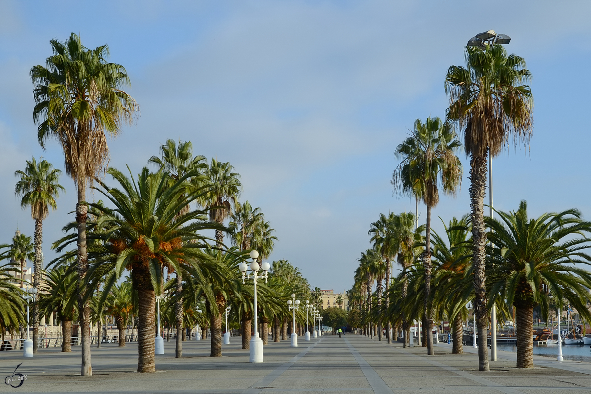 Der alte Hafen mit seiner Promenade in Barcelona. (Dezember 2011)