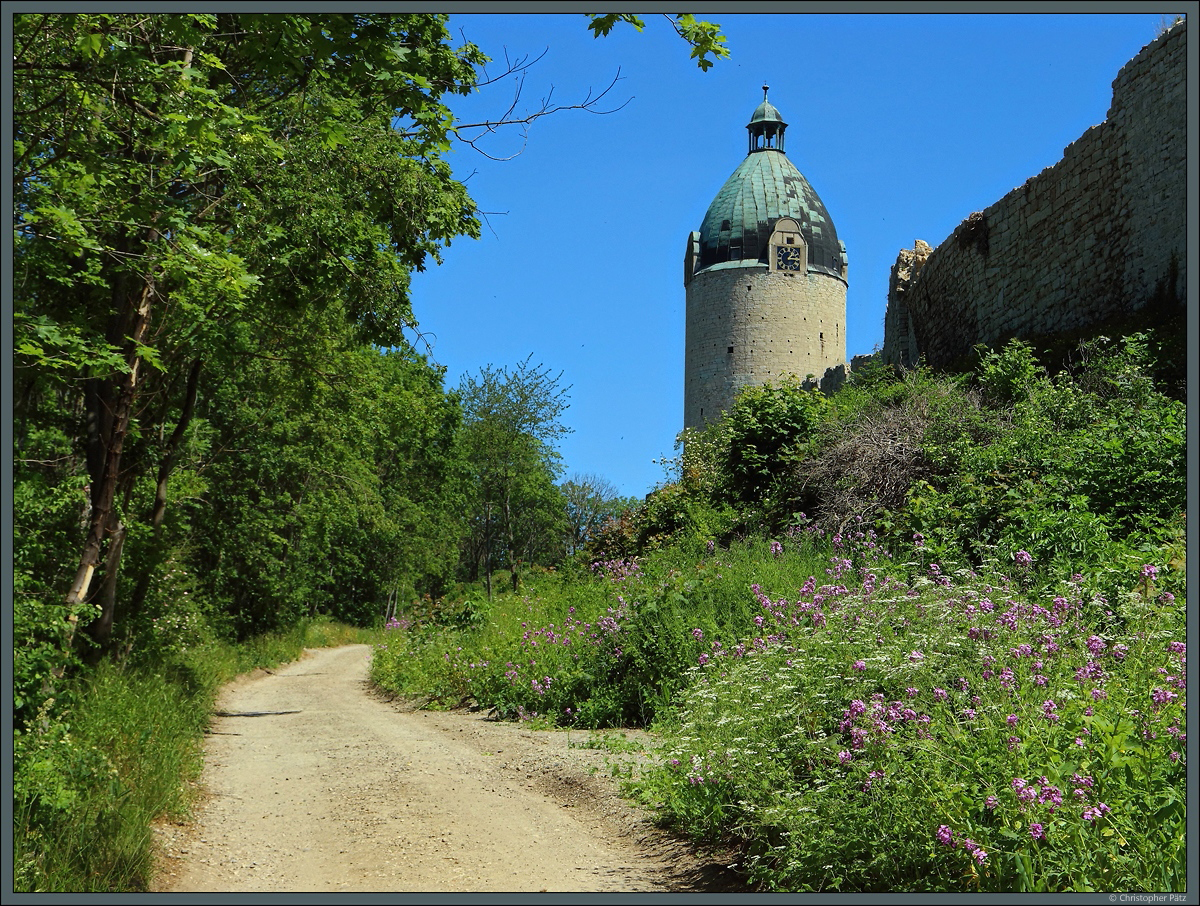 Der Bergfried  Dicker Wilhelm  der Neuenburg wurde ab 1150 als Wohn- und Wehrturm errichtet. (Freyburg, 01.06.2020)