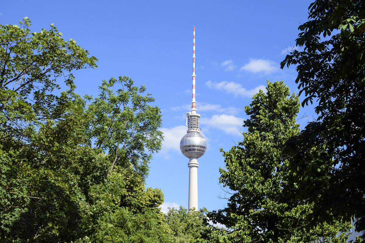 Der Berliner Fernsehturm von Monbijoupark aus gesehen. Aufnahme: 8. Juni 2019.