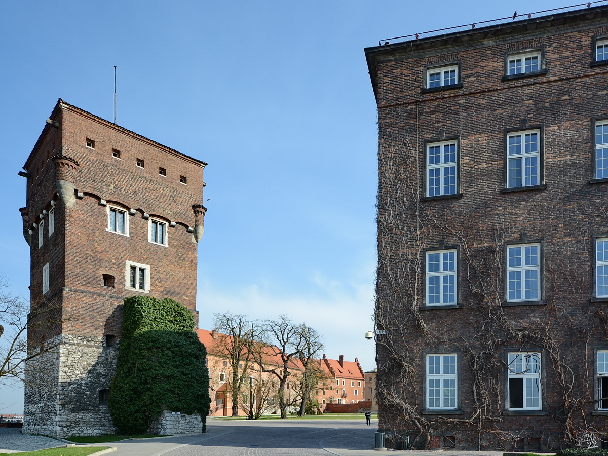 Der Diebsturm ist einer der drei vollstndig erhaltenen Waweltrme in Krakau. (April 2014)