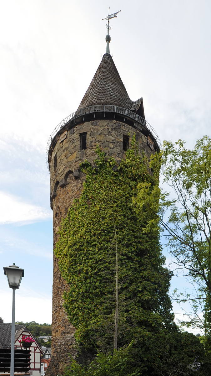 Der Dillturm an der ehemaligen Stadtmauer in Herford. (September 2012)