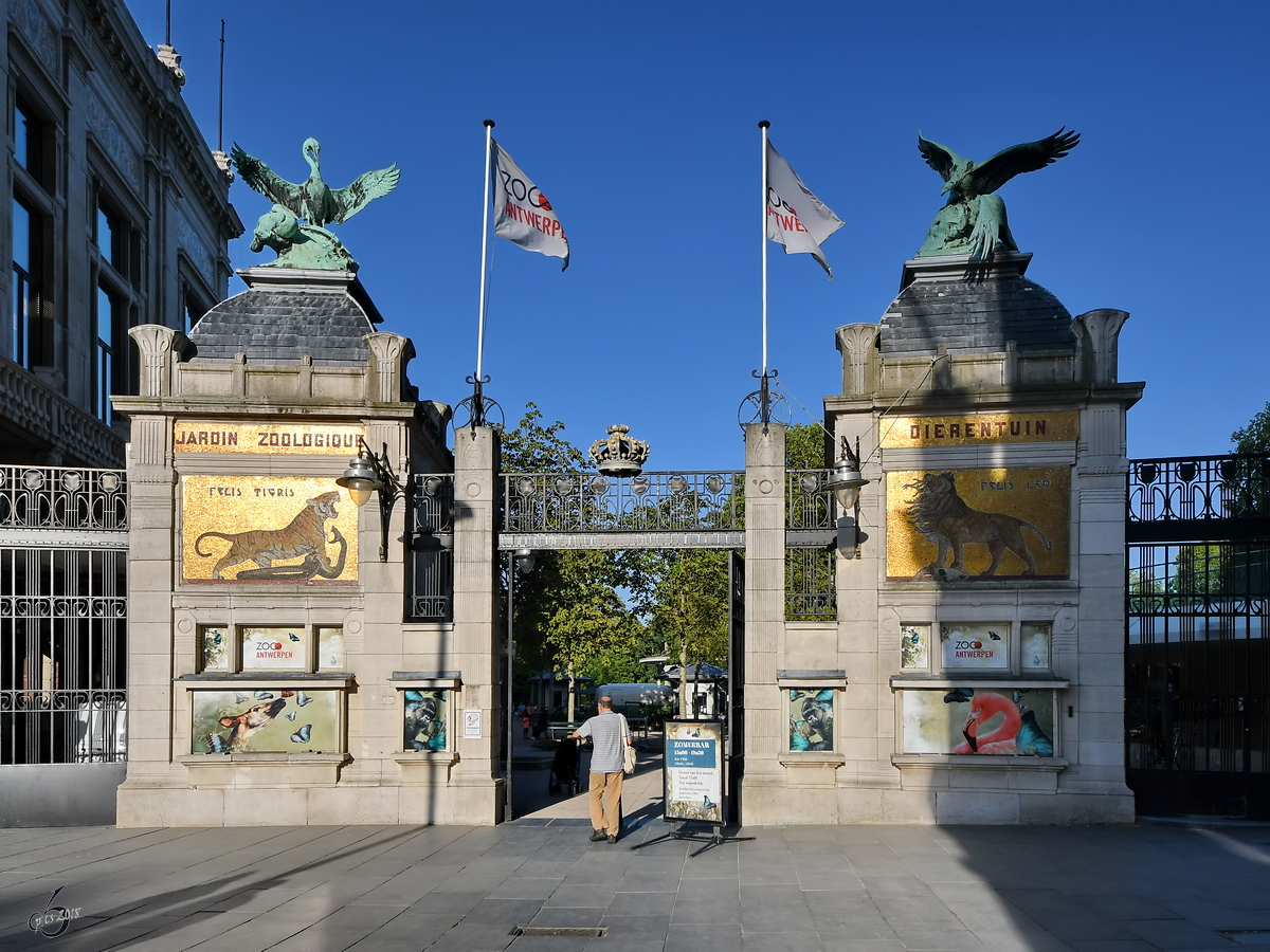 Der Eingang zum Antwerpener Zoo Ende Juli 2018.